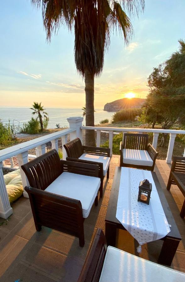 Zbb Stylish Villa & Bungalows Alanya Exteriör bild